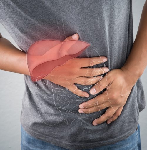 The photo of liver is on the man's body against gray background, Liver disease or Hepatitis, Concept with body problem and male anatomy